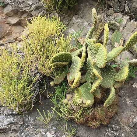 Cal Batistet Ferrer Holiday home